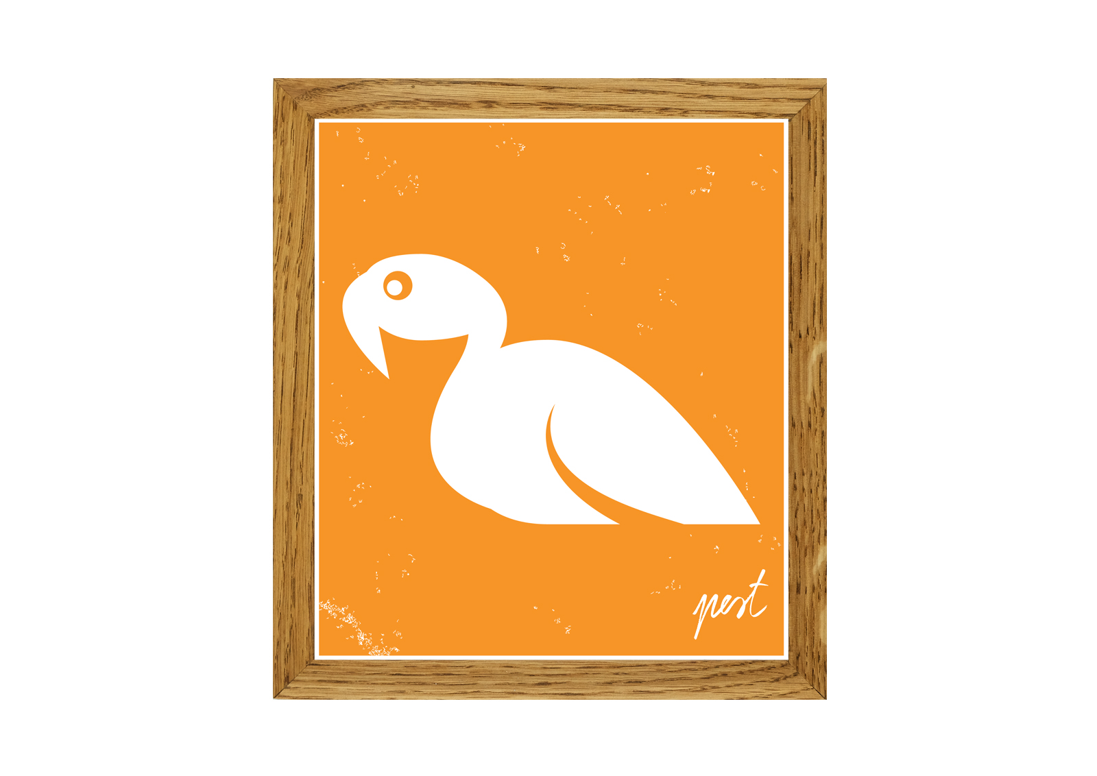 Pest Swan Orange poster