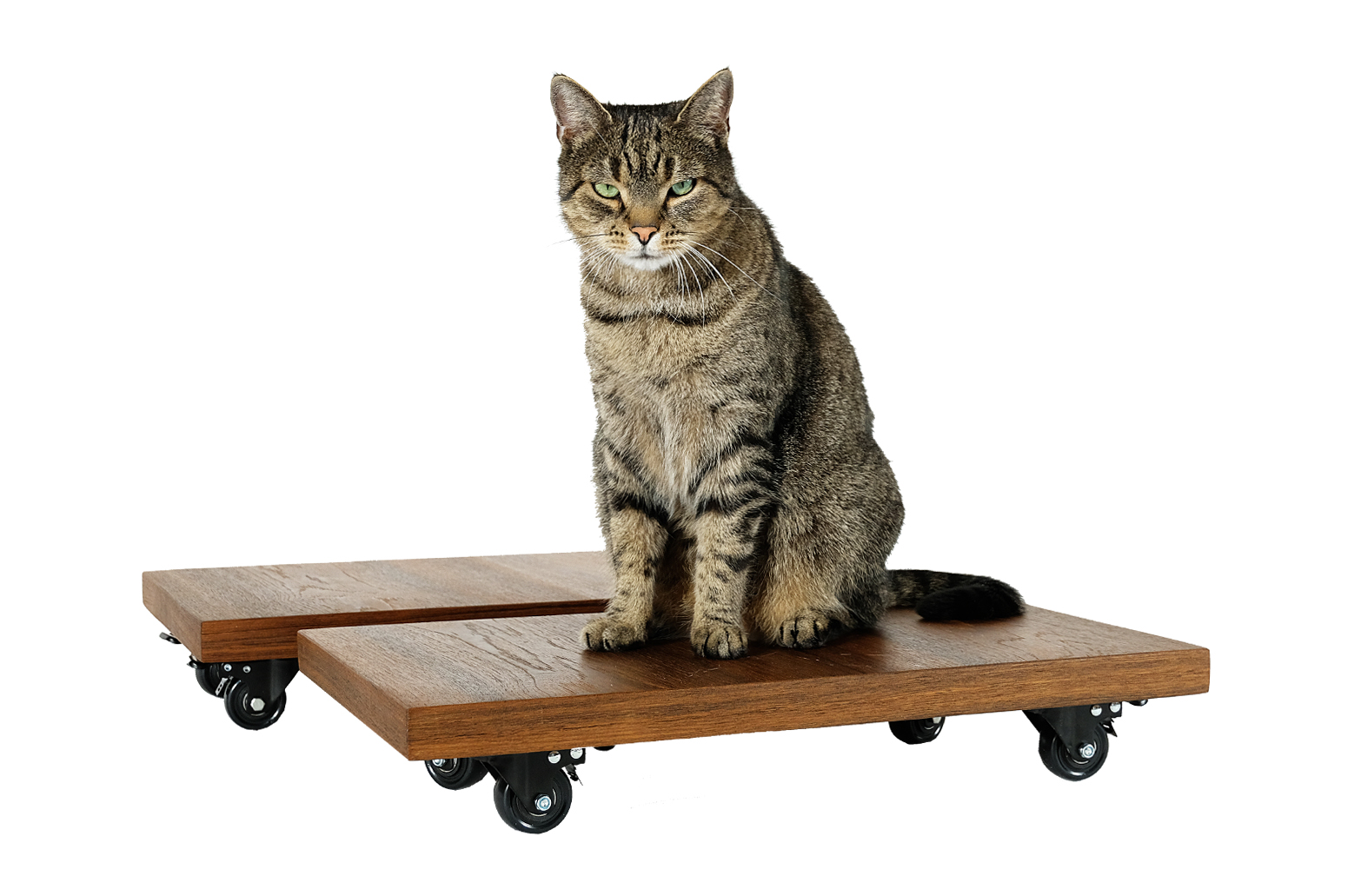 Mobile speakers platform, audio vintage